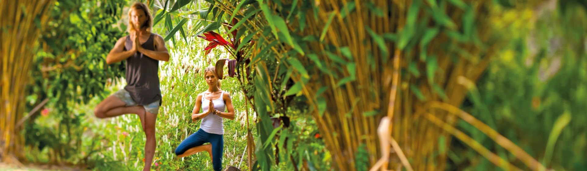 Nimbin Candle Factory NSW Holidays & Things to Do